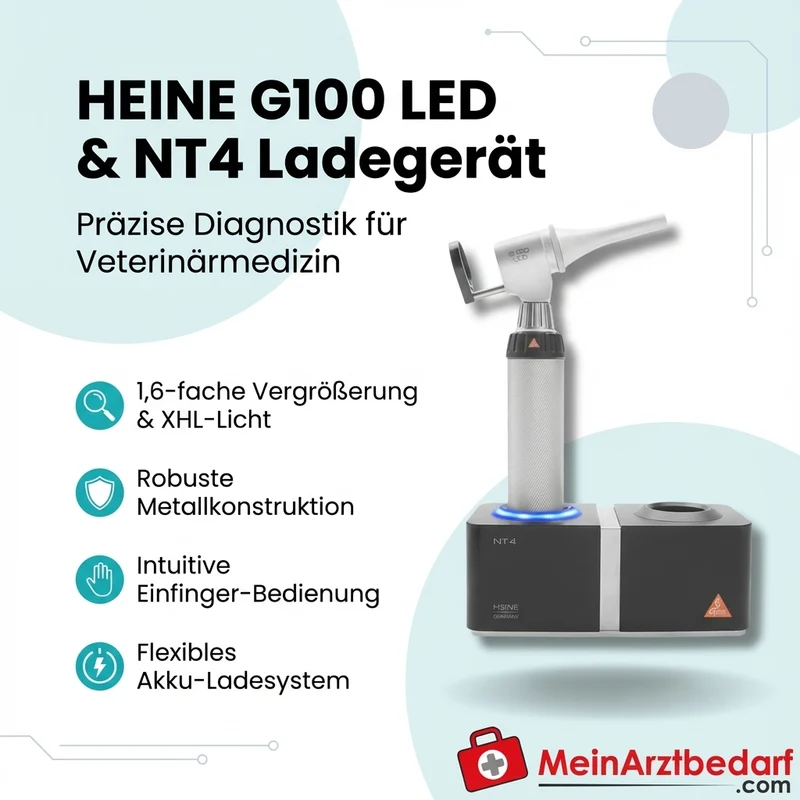 HEINE G100 LED geschlitztes Kopfstück XHL, 1,6-fache Vergrößerung, Metall, BETA4 NT Ladegriff, NT4 Tisch-Ladegerät