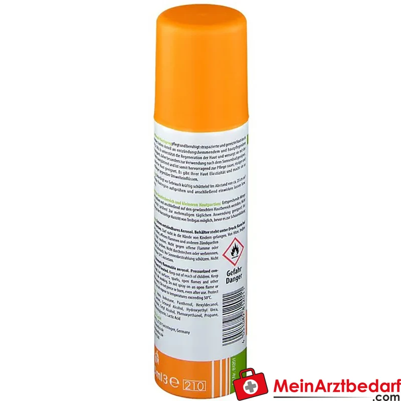 ReAm Panthenol Hautspray 5% Aerosol 150 ml
