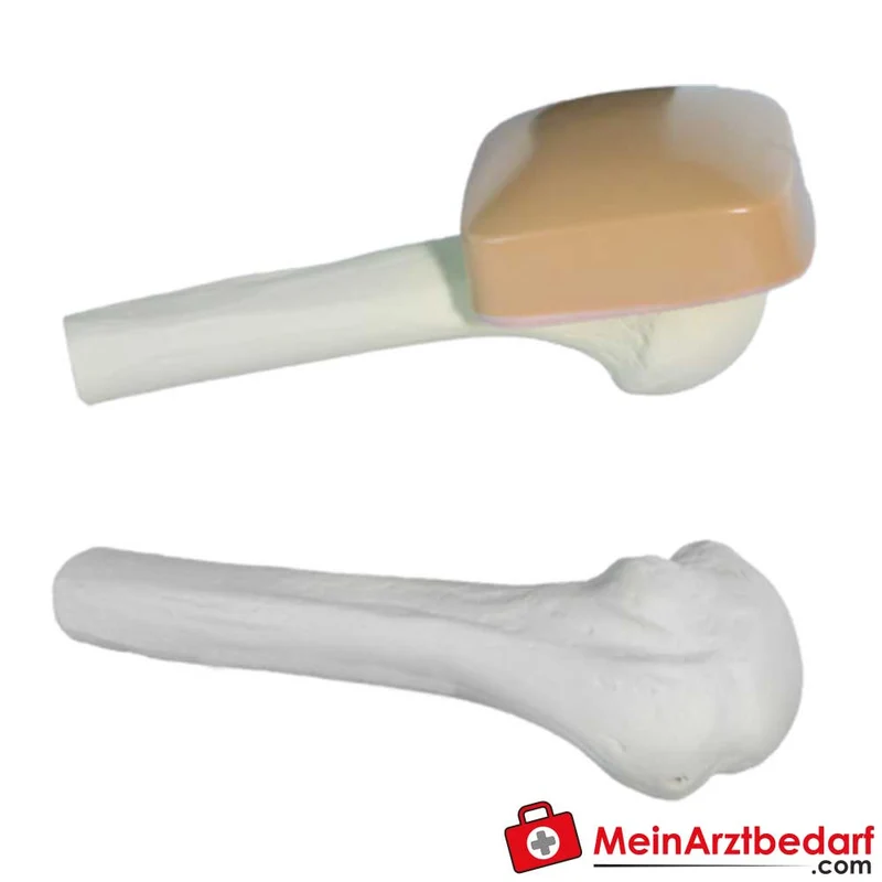 Arrow EZ-IO Humerus-Trainingsknochen Adult
