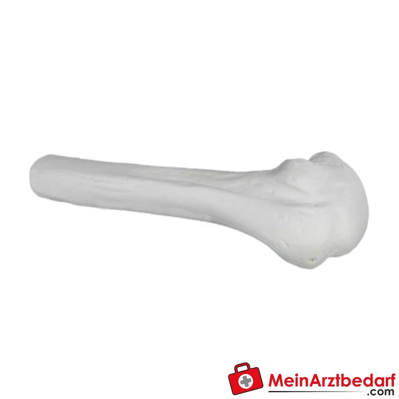 Arrow EZ-IO Humerus-Trainingsknochen Adult