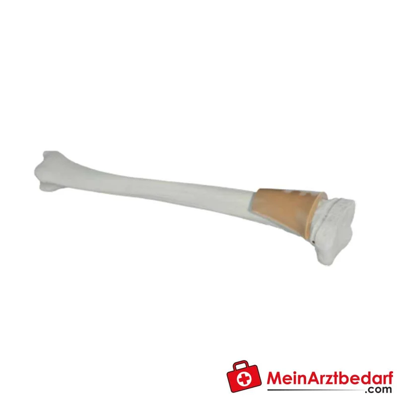 Arrow EZ-IO Trainingsknochen Tibia Kind