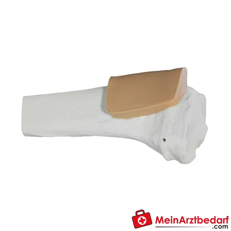 Arrow EZ-IO Trainingsknochen Tibia Adult