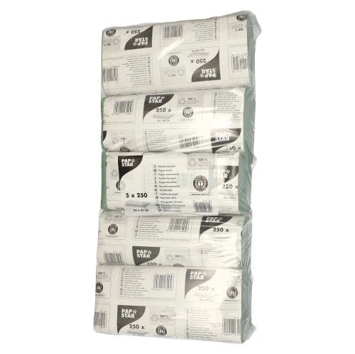 Papstar Papierhandtücher V-Falz 23 cm x 25 cm grün Zick Zack 1-lagig (20 x 250 Blatt = 5000 Blatt)