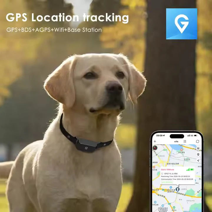 PawGuardian | Wasserdichtes GPS-Halsband für Hunde & Katzen