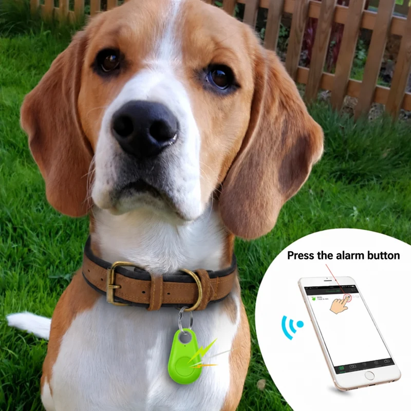 SafeTrack | GPS-Tracker mit Live-Tracking für Kinder, Haustiere und Wertsachen
