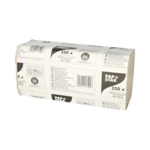 Papstar Papierhandtücher V-Falz 23 cm x 25 cm natur Zick Zack, 1-lagig (20 x 250 Blatt = 5000 Blatt)