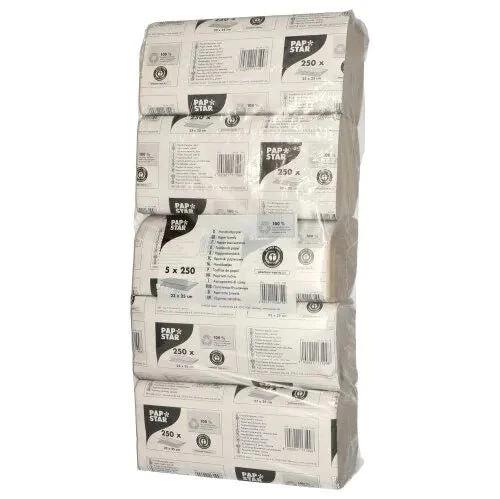 Papstar Papierhandtücher V-Falz 23 cm x 25 cm natur Zick Zack, 1-lagig (20 x 250 Blatt = 5000 Blatt)