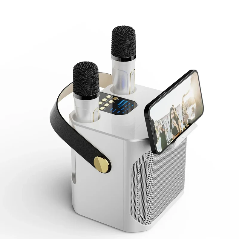 Karaoke Bluetooth Lautsprecher mit 360° Stereo Surround und Doppelmikrofon