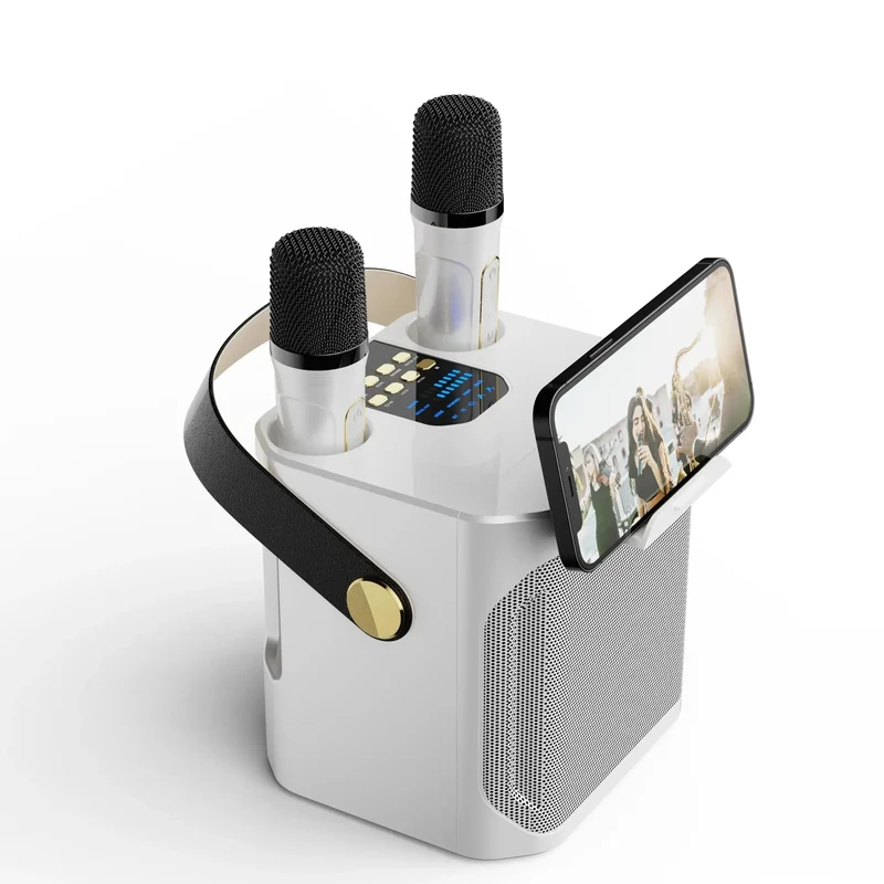 Karaoke Bluetooth Lautsprecher mit 360° Stereo Surround und Doppelmikrofon