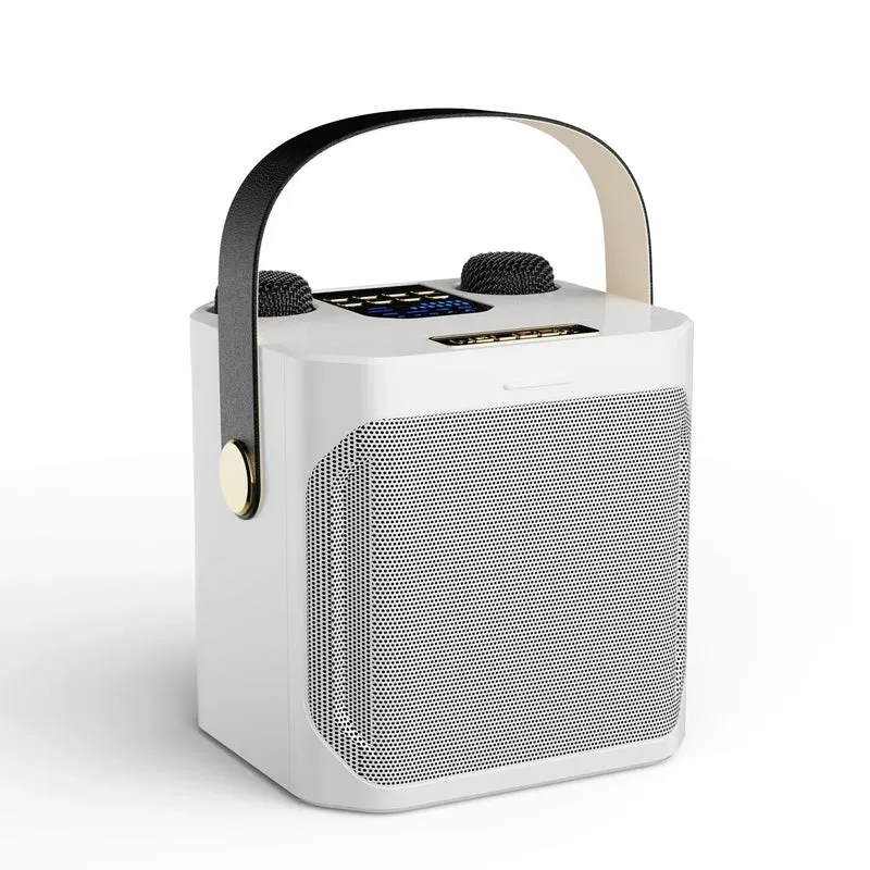 Karaoke Bluetooth Lautsprecher mit 360° Stereo Surround und Doppelmikrofon
