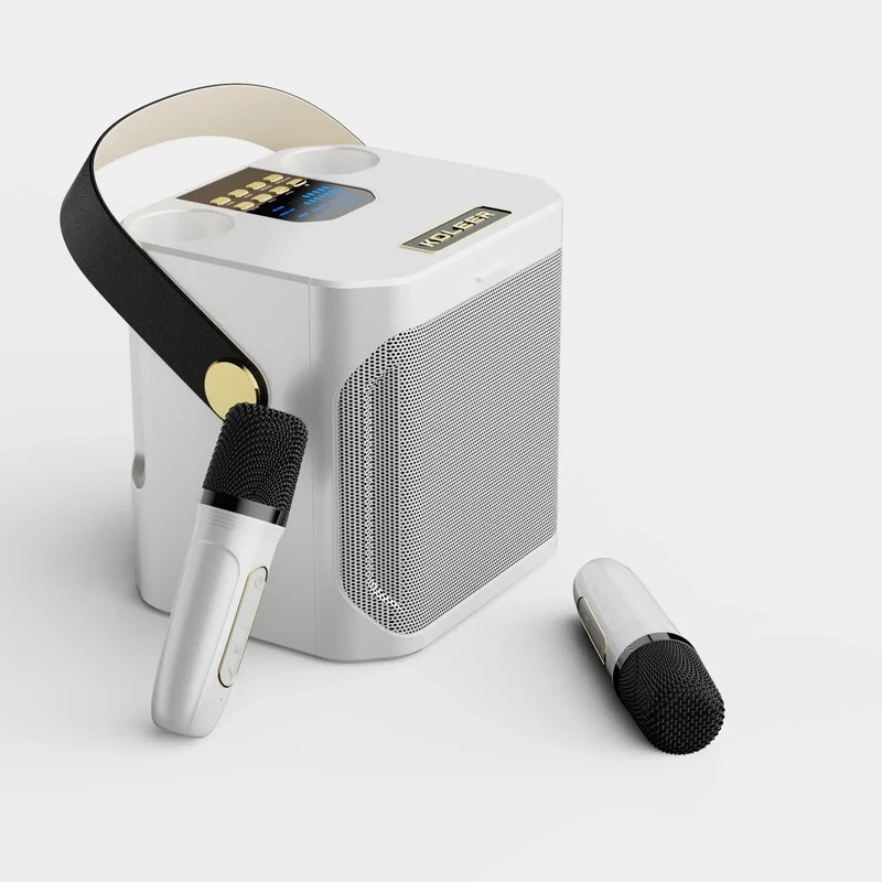 Karaoke Bluetooth Lautsprecher mit 360° Stereo Surround und Doppelmikrofon