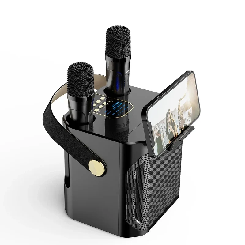 Karaoke Bluetooth Lautsprecher mit 360° Stereo Surround und Doppelmikrofon
